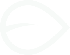 Decorative Ayurvedic botanical motif