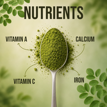 Moringa Powder