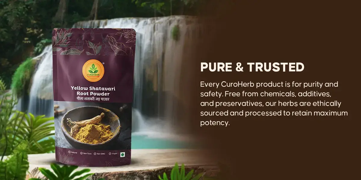 yellow shatavri pure and trusted