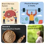 Black Kaunch Powder  Vitality & Strength  CuroHerb